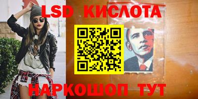 крисы Тулун