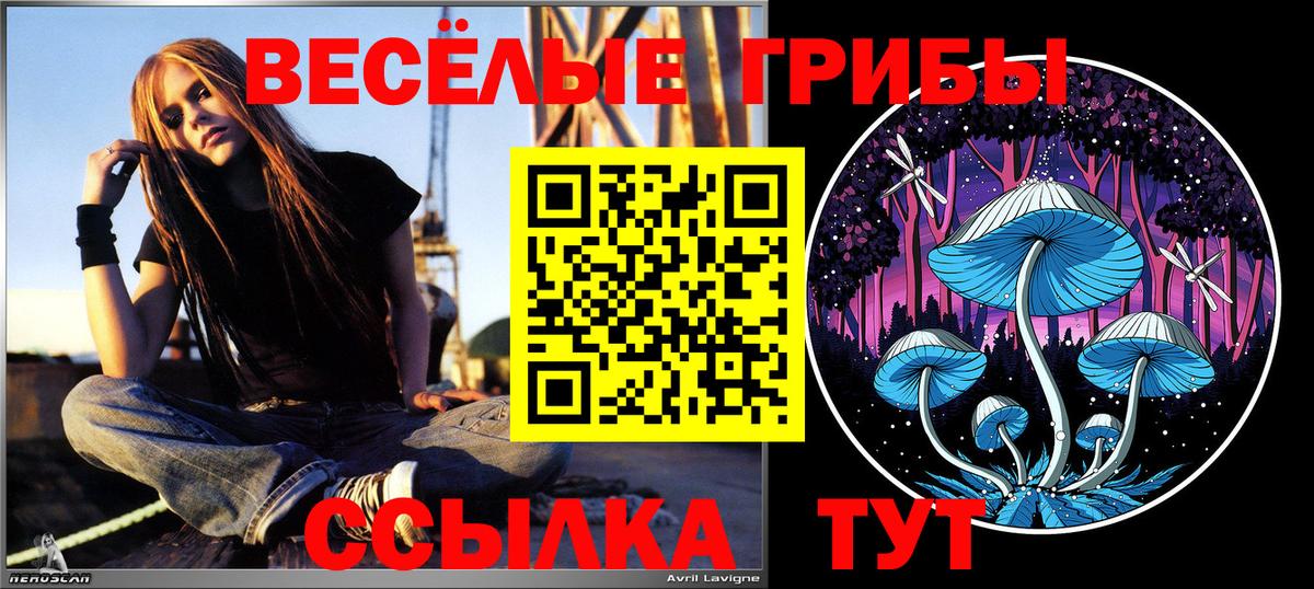 Галлюциногенные грибы Magic Shrooms  Вход с VPN  Нефтекумск 
